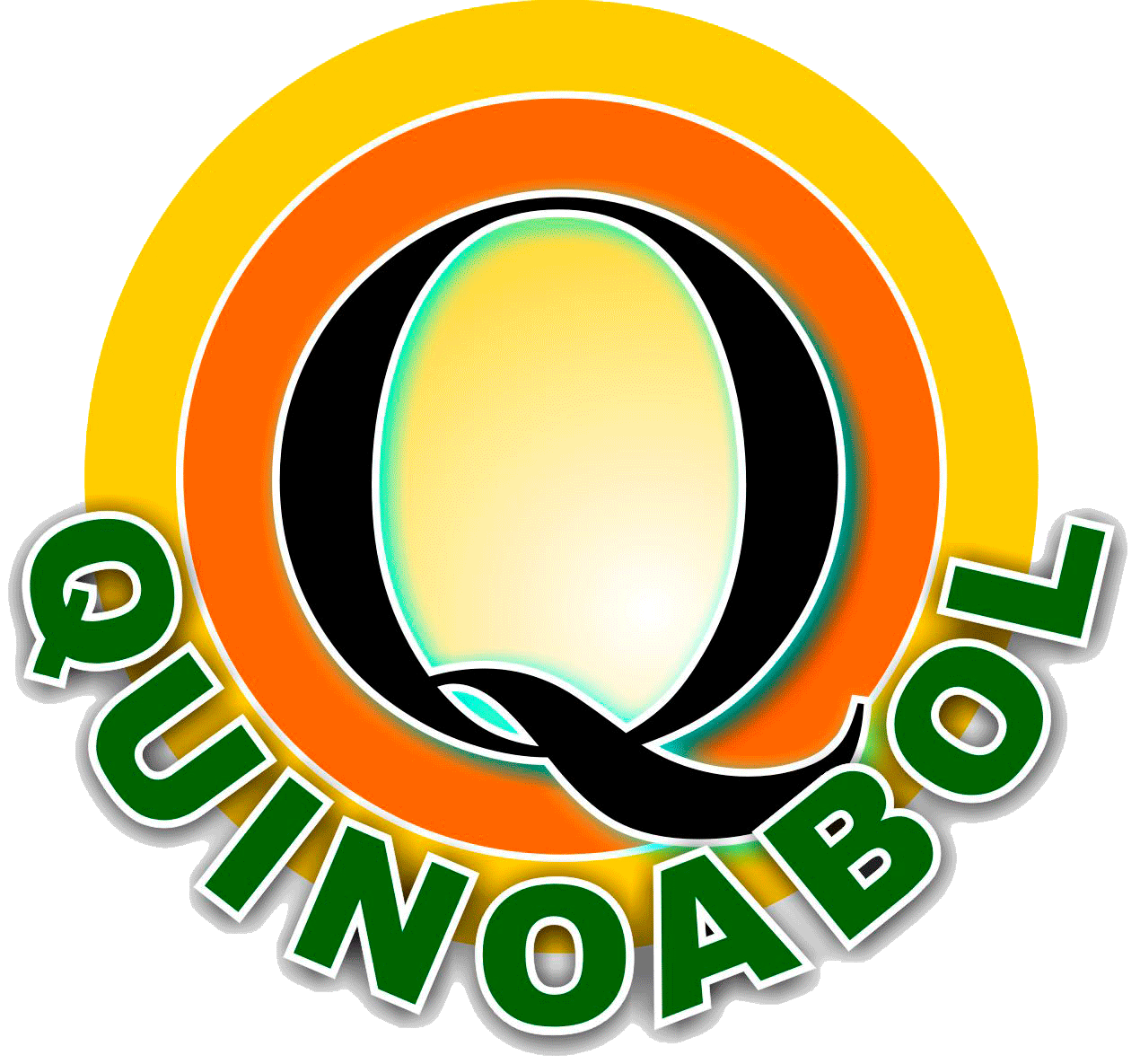 QUINOABOL S.R.L. logo